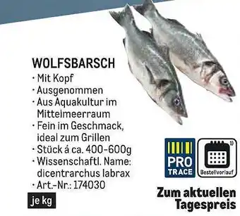 METRO Wolfsbarsch Angebot