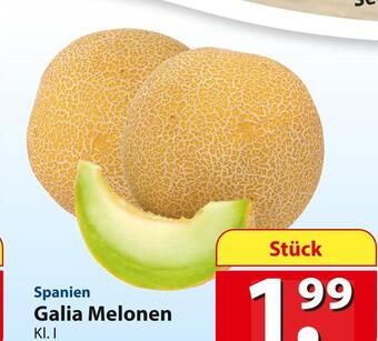 Famila Nord Ost Galia melonen Angebot