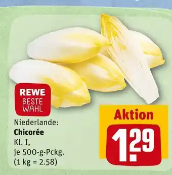 REWE Rewe beste wahl chicorée Angebot