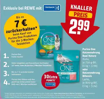 REWE Purina one katzennahrung dual nature oder katzennahrung bifensis Angebot