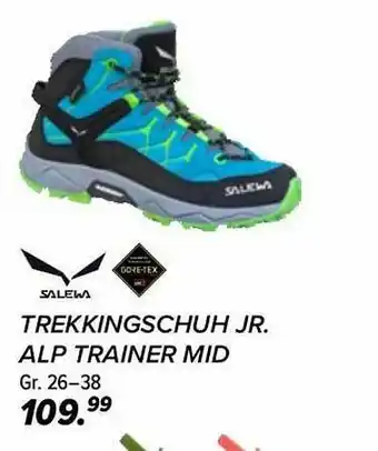 Hervis Salewa Trekkingschuh Jr. Alp Trainer Mid Angebot