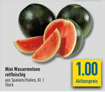 diska Mini Wassermelonen Angebot