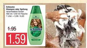 Marktkauf Schauma Shampoo Oder Spülung 400/250ml Angebot