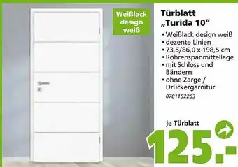 Globus Baumarkt Türblatt „Turida 10” Angebot