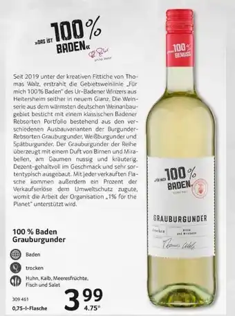 Selgros 100% Baden Grauburgunder Angebot