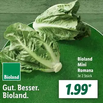 Lidl Bioland Mini Romana Angebot