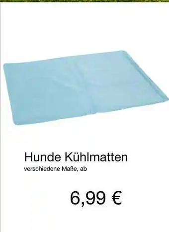 KiK Hunde Kühlmatten Angebot