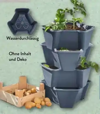 Aldi Nord Kartoffelturm Angebot