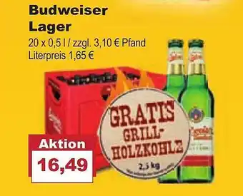 Bilgro Budweiser Lager Angebot