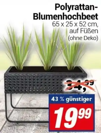 CENTERSHOP Polyrattan Blumenhochbeet Angebot