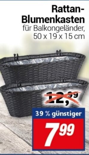 CENTERSHOP Rattan Blumenkasten Angebot