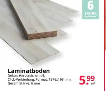 Hammer Laminatboden Angebot