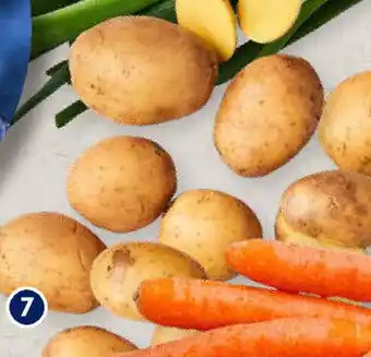 Aldi Süd Natur Lieblinge Speisefrühkartoffeln, vorwiegend festkochend 2,5 kg Beutel Angebot