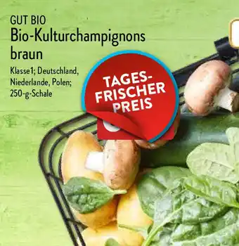 Aldi Nord Gut Bio Kulturchampignons braun 250 g Schale Angebot