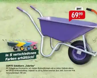 Raiffeisen Markt Capito Schubkarre „colorline“ Angebot