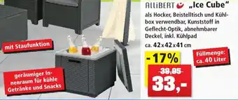 Thomas Philipps Allibert Ice Cube Angebot