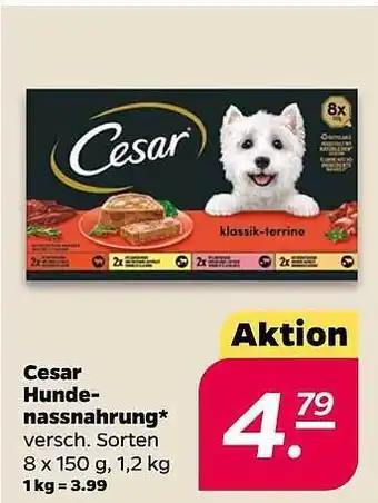 NETTO Cesar Hundenassnahrung Angebot