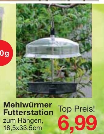 Jawoll Mehlwürmer Futterstation Angebot