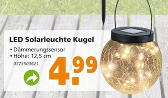 Globus Baumarkt LED Solarleuchte Kugel Angebot