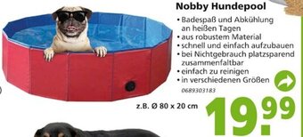 Globus Baumarkt Nobby Hundepool Angebot