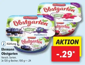 Lidl Ehrmann Obstgarten 120 g becher Angebot