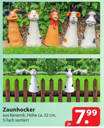 Famila Nord Ost Zaunhocker Angebot