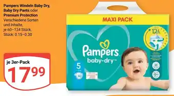 Globus Pampers Windeln Baby Dry, Baby Dry Pants oder Premium Protection 3er Pack Angebot