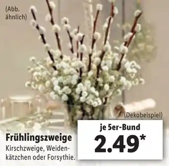 Lidl Frühlingszweige Angebot