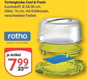 Globus rotho Tortenglocke Cool & Fresh Angebot