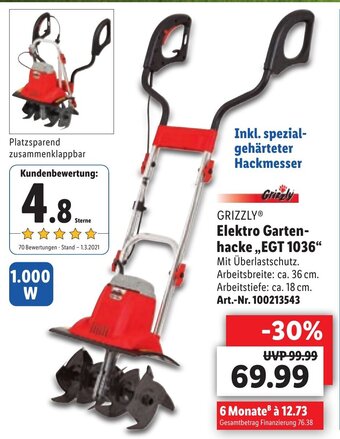 Lidl Grizzly Elektro Gartenhacke ,,EGT 1036" Angebot