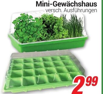 CENTERSHOP Mini Gewächshaus Angebot