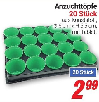 CENTERSHOP Anzuchttöpfe 20 Stück Angebot