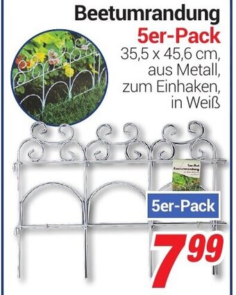 CENTERSHOP Beetumrandung 5er Pack Angebot