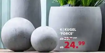 Dehner Kugel Force Angebot