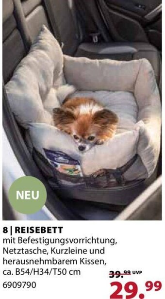 Dehner Reisebett Angebot
