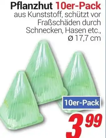 CENTERSHOP Pflanzhut 10er Pack Angebot