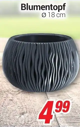 CENTERSHOP Blumentopf Angebot