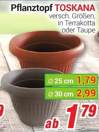 CENTERSHOP Pflanztopf Toskana Angebot