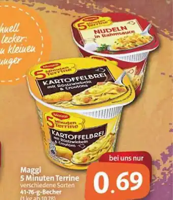 Markant Markt Maggi 5 Minuten Terrine Angebot