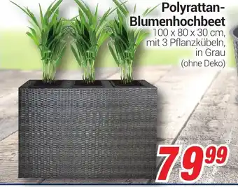 CENTERSHOP Polyrattan Blumenhochbeet Angebot