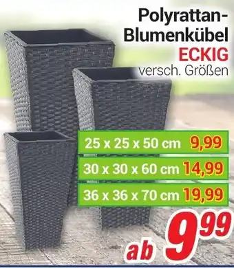 CENTERSHOP Polyrattan Blumenkübel Eckig Angebot