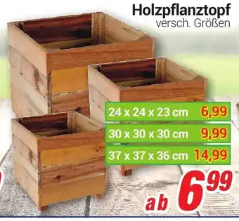 CENTERSHOP Holzpflanztopf Angebot