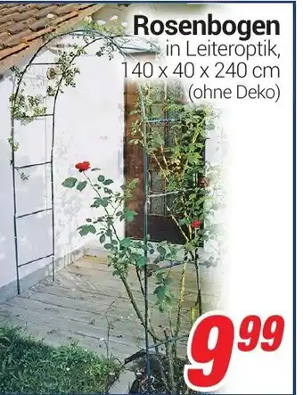 CENTERSHOP Rosenbogen Angebot