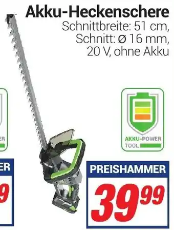 CENTERSHOP Akku Heckenschere Angebot