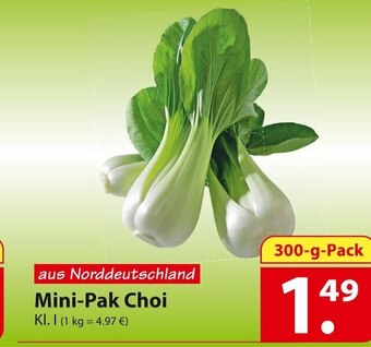 Famila Nord Ost Mini-pak choi Angebot