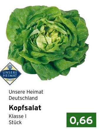 CAP Markt Kopfsalat Angebot