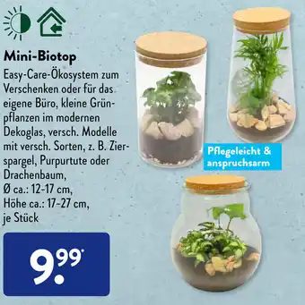 Aldi Süd Mini Biotop Angebot