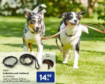 Aldi Süd Romeo Lederleine und halsband Angebot