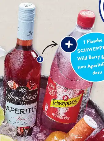 Aldi Süd Asbach Aperitif Rosé + Schweppes Wild Berry Angebot