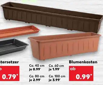 Kaufland Blumenkasten Angebot